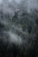 Clouds and fog over a forest in the Swiss mountains.