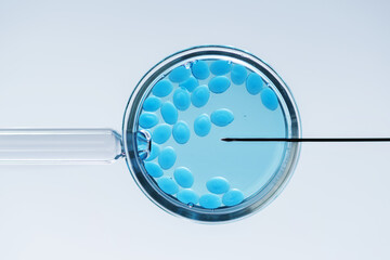 In vitro fertilisation concept. Artificial insemination or fertility treatment macro photography..
