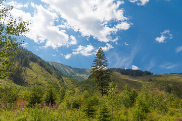 Beautiful alpine mountain landscape at summer. Rackova valley, Western Tatras mountains.  Slovakia