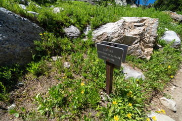 Sign for leaving the North Fork of Cascade Canyon camping zone along the Lake Solitude trail in Grand Teton National Park