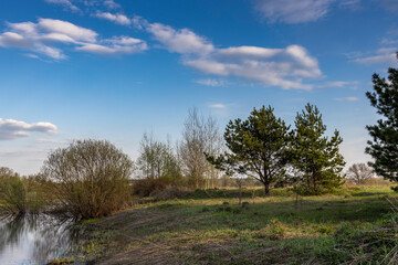 Picturesque landscape in early spring. Sunny evening. Young greens break through dry grass. By the river.