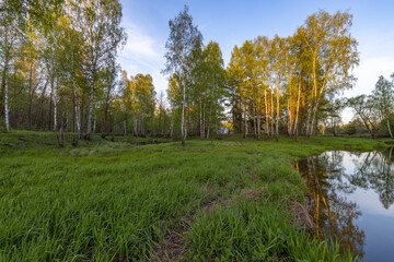 Evening landscape with a river and bright green grass in the foreground.