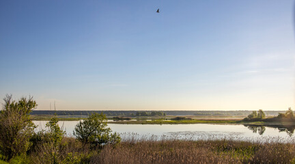 Scenic landscape with foggy river and forest on the horizon. Mystical morning landscape on the pond. Dawn over the lake.