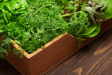 a top of bunch of green dill, parsley, salad, herbs and other greens in a wooden box, dark wood background, concept of fresh vegetables and healthy food