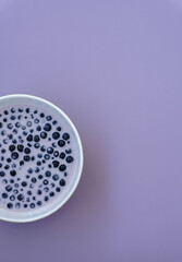 Bowl of wild blueberries with milk