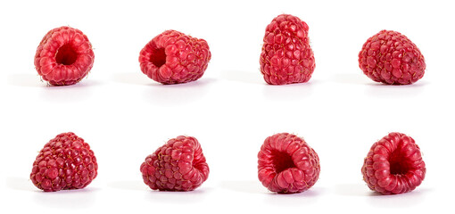 Raspberry isolated on white background. Collection bf Raspberries, each one shot separately - obrazy, fototapety, plakaty