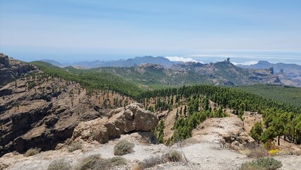 view from the top