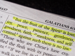 Galatians Chapter 5 verse 22