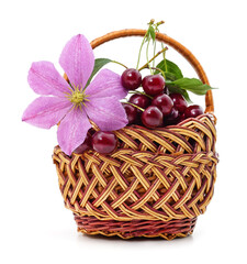 Fototapeta na wymiar Cherries in the basket.