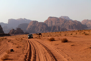 Wadi Rum Mars - obrazy, fototapety, plakaty
