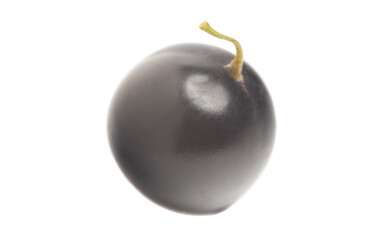 Black currant macro photo. Black currant isolated on white background.