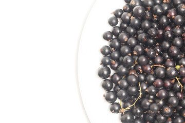 Black currants on a plate top view