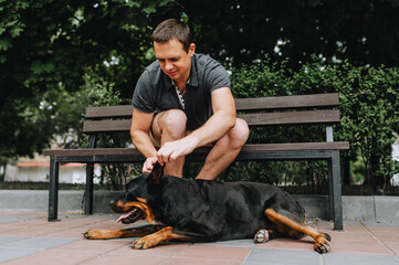A man sits on a bench in the park, plays and caresses his beloved Rottweiler dog. Photography,...