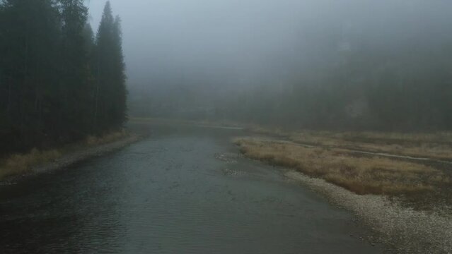 Picturesque landscape with a river and coniferous forest covered by fog. Clip. Autumn background in natural reserve.