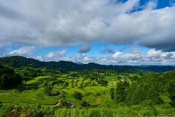 Fototapeta premium 棚田の眺め