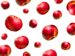 Flying levitating floating red ripe fresh juicy apples in air on white background. Levity summer...