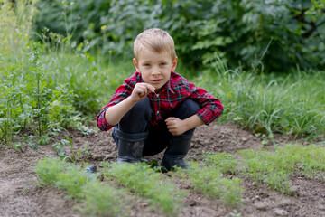 little child in the garden