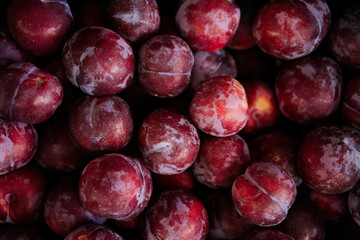 Ripe red plum close-up background or texture. Plums harvest, many red plums   