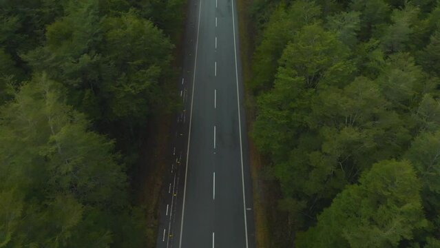 Aerial view of road running through the green forest in the mountains of the lands of the region of the lakes, Chile. View from drone.