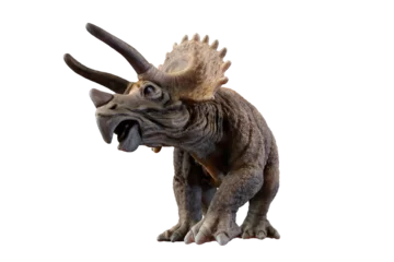 Tuinposter triceratops dinosaur on transparent background PNG 3d rendering © Roman