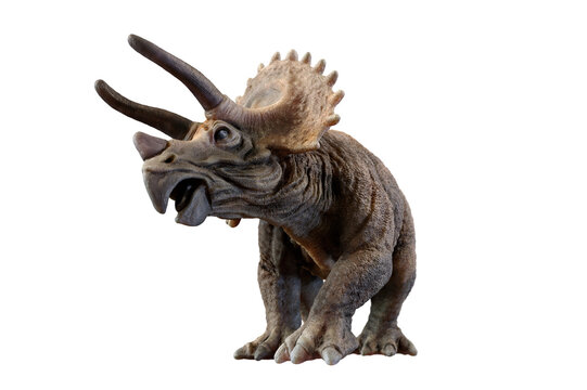 Fototapeta triceratops dinosaur on transparent background PNG 3d rendering