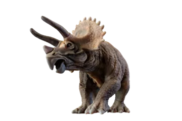 Deurstickers triceratops dinosaur on transparent background PNG 3d rendering © Roman