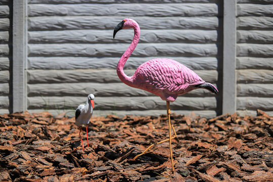 Plastic pink flamingo in the yard near