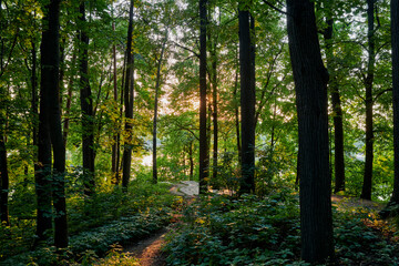 Obraz premium Russia. Moscow. Tsaritsyno. Setting sun over the path to the Upper Pond