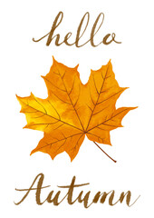 Fallen leaf illustration and calligraphy.