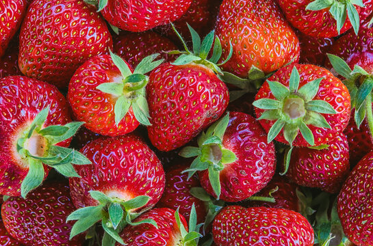 truskawki/strawberries