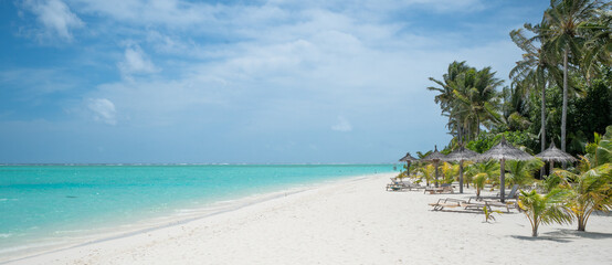 tropical beach with palm trees, white sand and turquoise blue water
