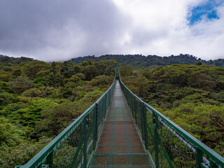 Forêt du Costa Rica