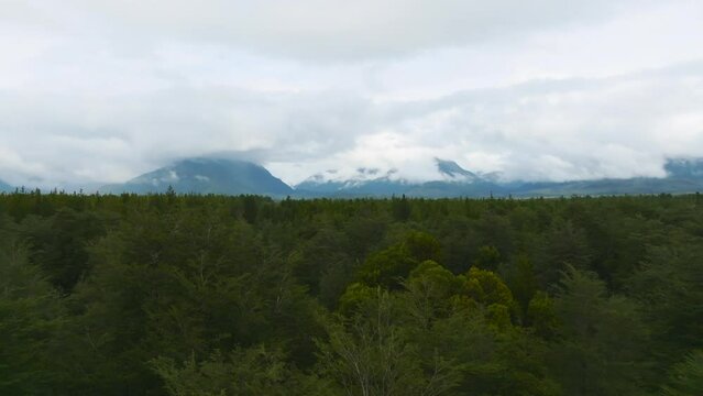 Upward aerial view, discovering the forest and mountains. In the region of the lakes, Chile. View from drone.