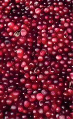 red pomegranate seeds