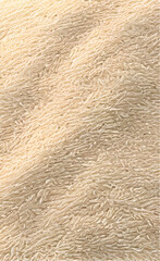 sand dunes in the desert