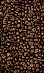 beans