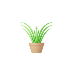 3d green plant isolated on white