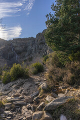 Field of vegetation of different colors and stones on the ground in the village of Valverde de los Arroyos at sunset.