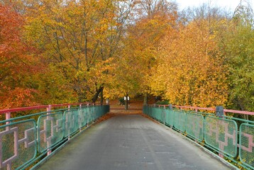 bridge in autumn in a park