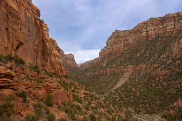Canyon of the Left Fork of North Creek In Zion