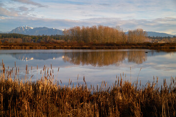 Iona Beach Regional Park Pond. The pond and marsh in Iona Beach Regional Park. British Columbia,...