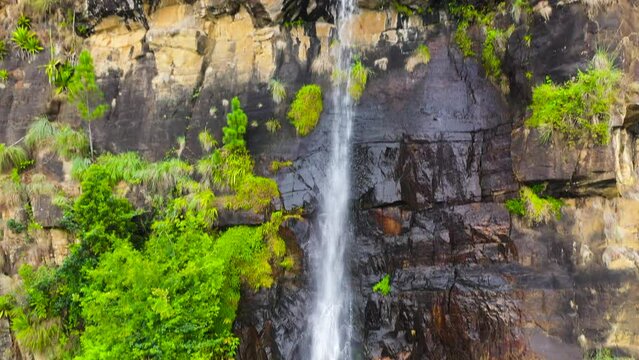 Bambarakanda Falls waterfall in a mountain gorge in the tropical jungle. Waterfall in the tropical forest. Sri Lanka.
