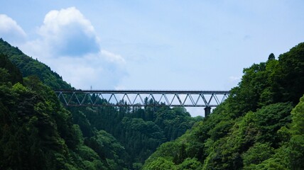 Fototapeta premium Railroad bridge over the mountain river in summer