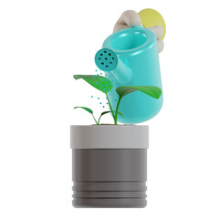 green plant in a pot