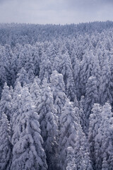 wonderful mountain covered with snow in uludag mountain