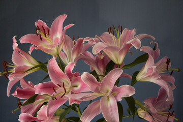 Fototapeta premium Beautiful bouquet of flowers. Lilies on a dark background. Background. Texture.
