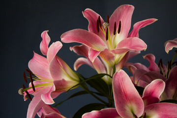 Beautiful bouquet of flowers. Lilies on a dark background. Background. Texture.