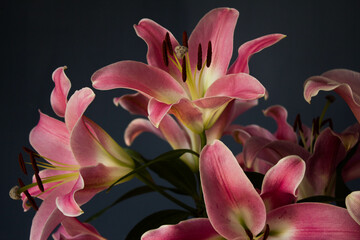 Beautiful bouquet of flowers. Lilies on a dark background. Background. Texture.