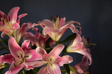 Fototapeta premium Beautiful bouquet of flowers. Lilies on a dark background. Background. Texture.