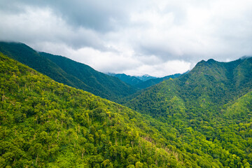 Naklejka premium Panorama of Mountains. Under the clouds. Green forest. Scenic aerial view. Great Smoky Mountains North Carolina. Thick fog. White clouds. Green hill. Hiking tourism. Good for travel agency or posters.